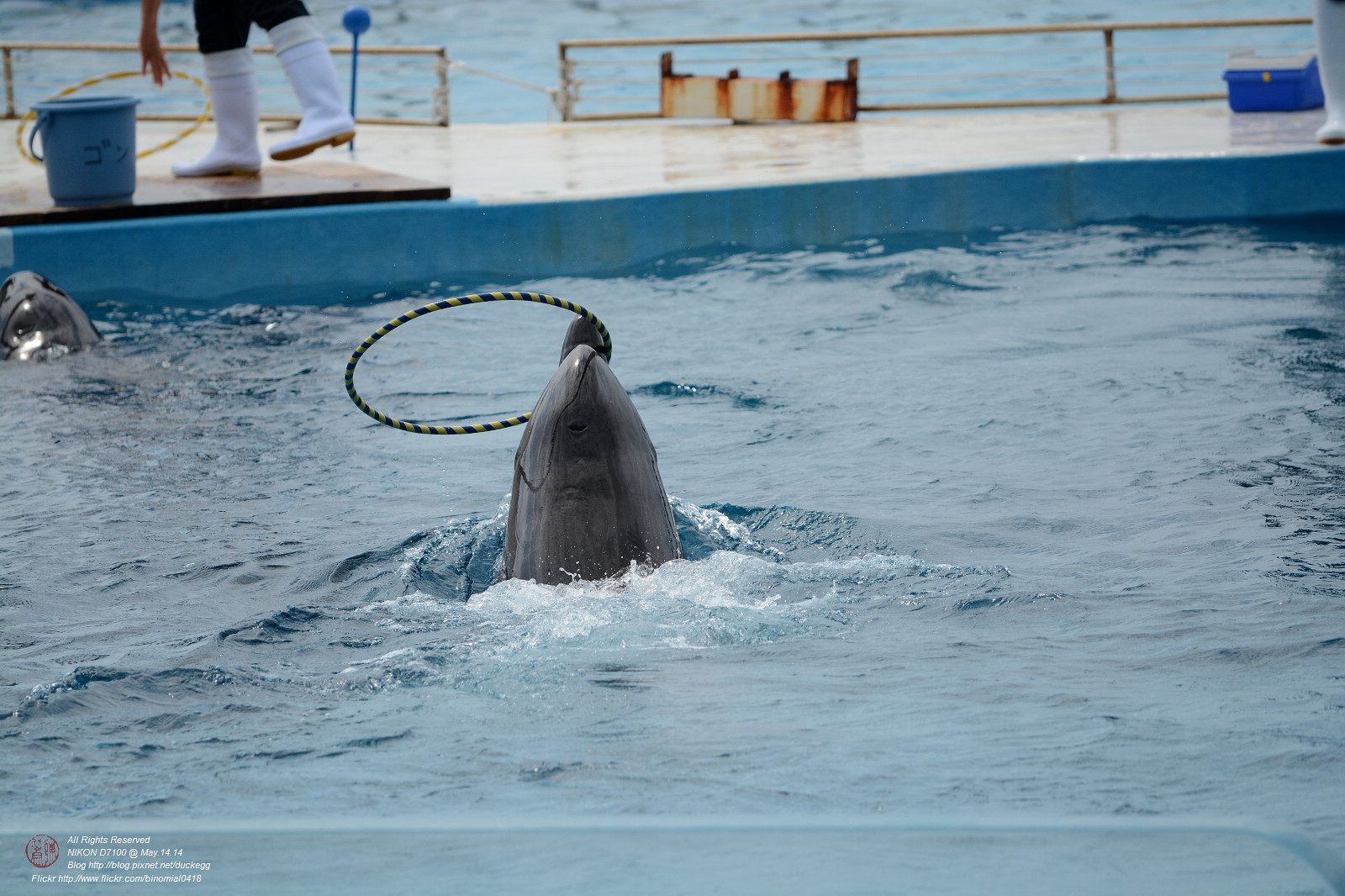 DSC_3053.jpg